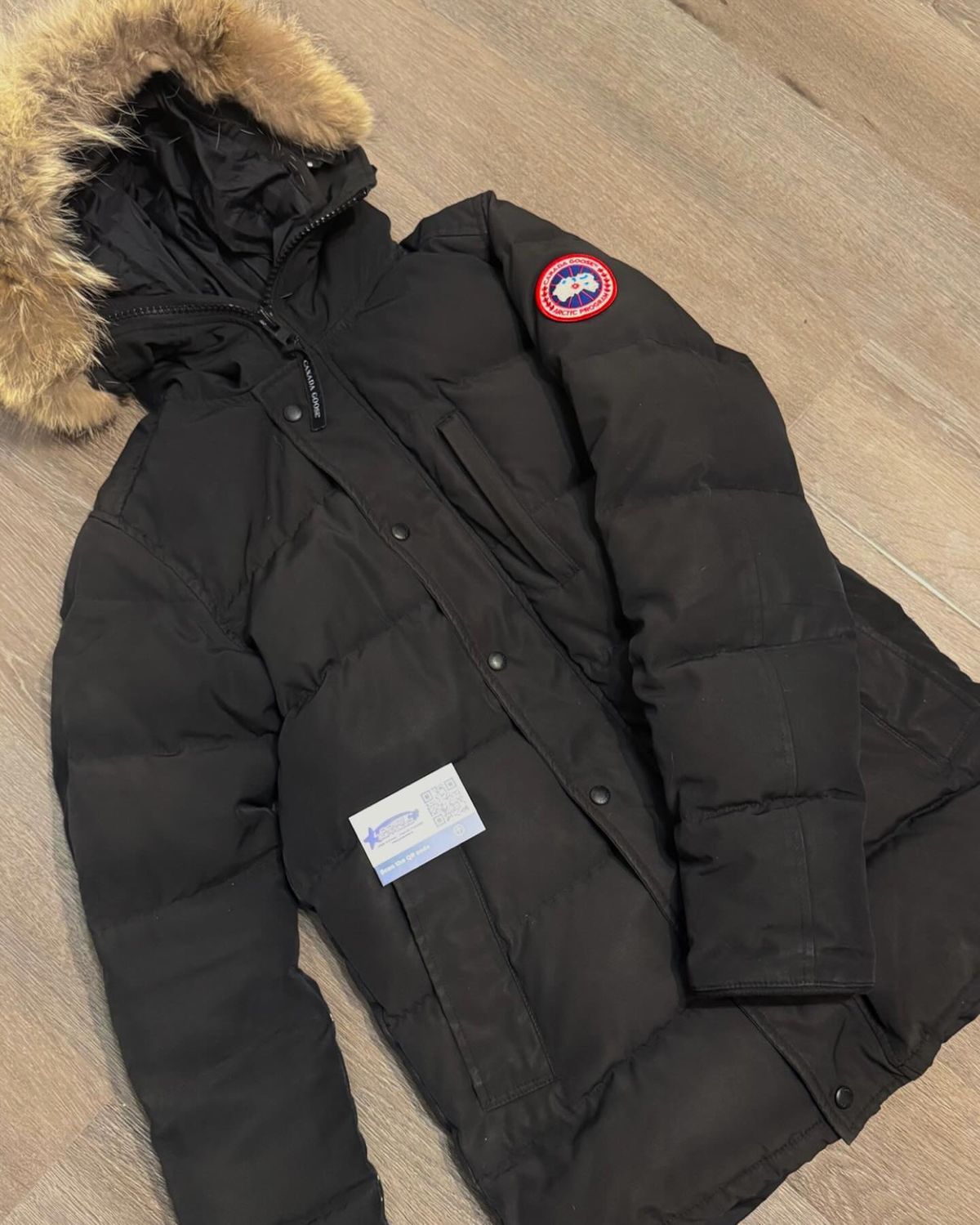 Canada Goose