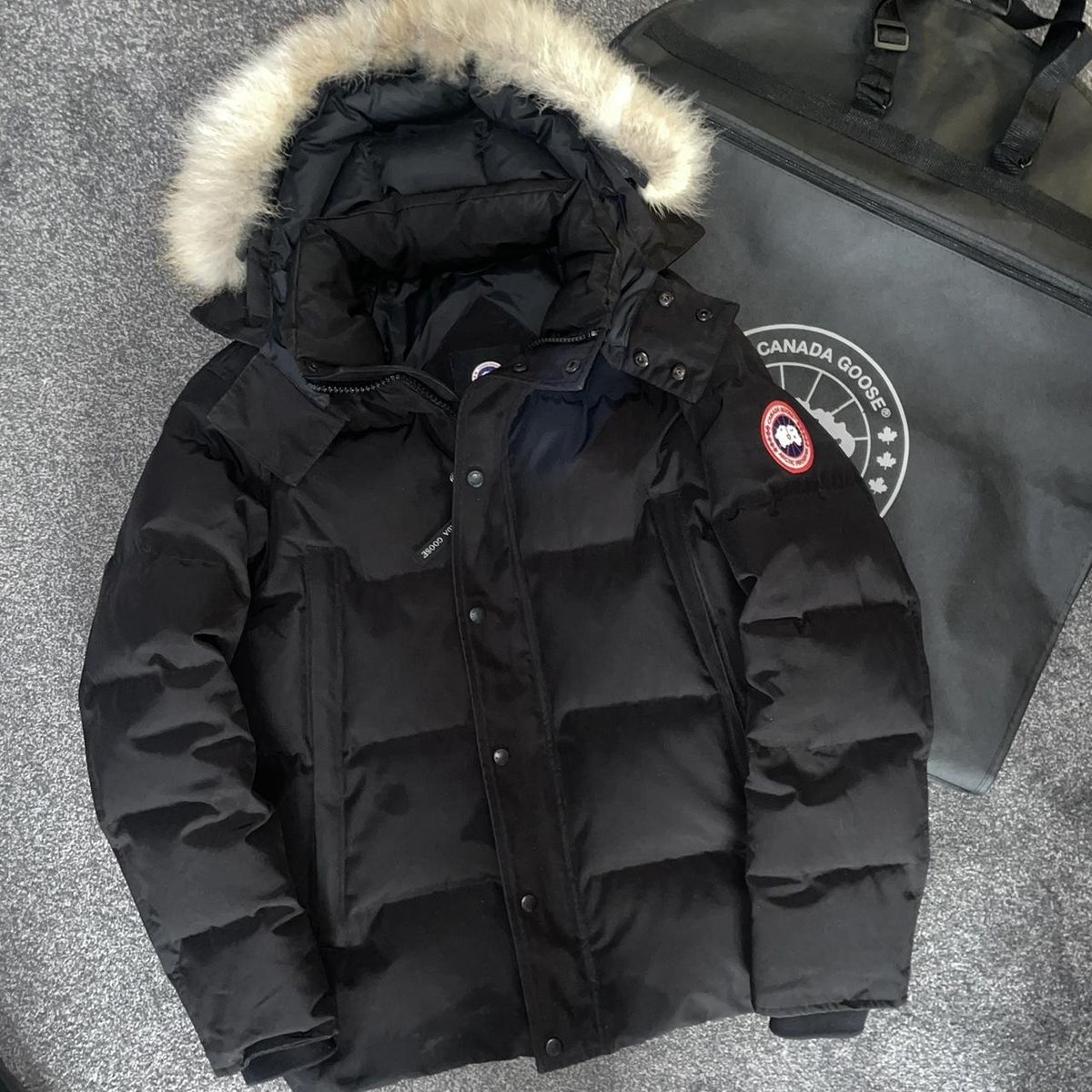Canada Goose