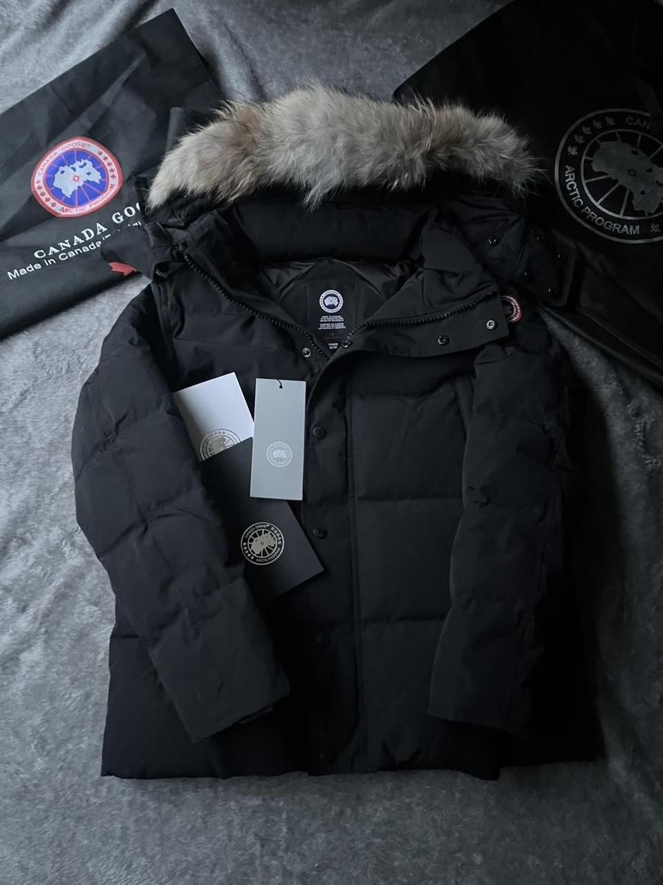 Canada Goose