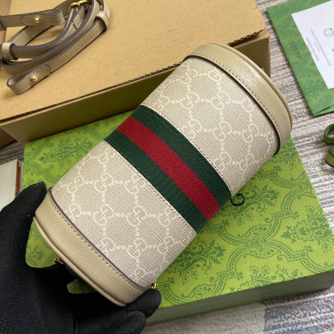 LIMITED EDITION GUCCI BAG