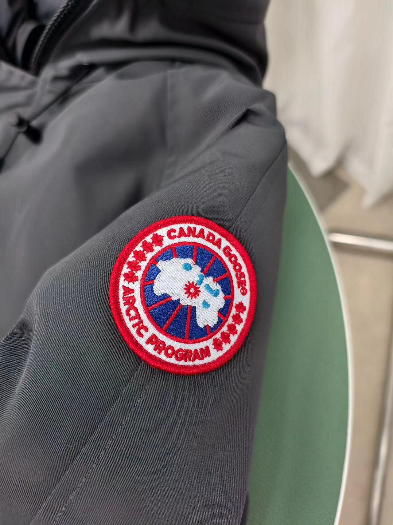 Canada GooseThe Chilliwag Pilot