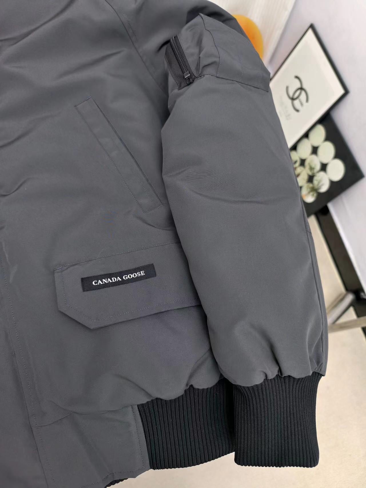 Canada GooseThe Chilliwag Pilot