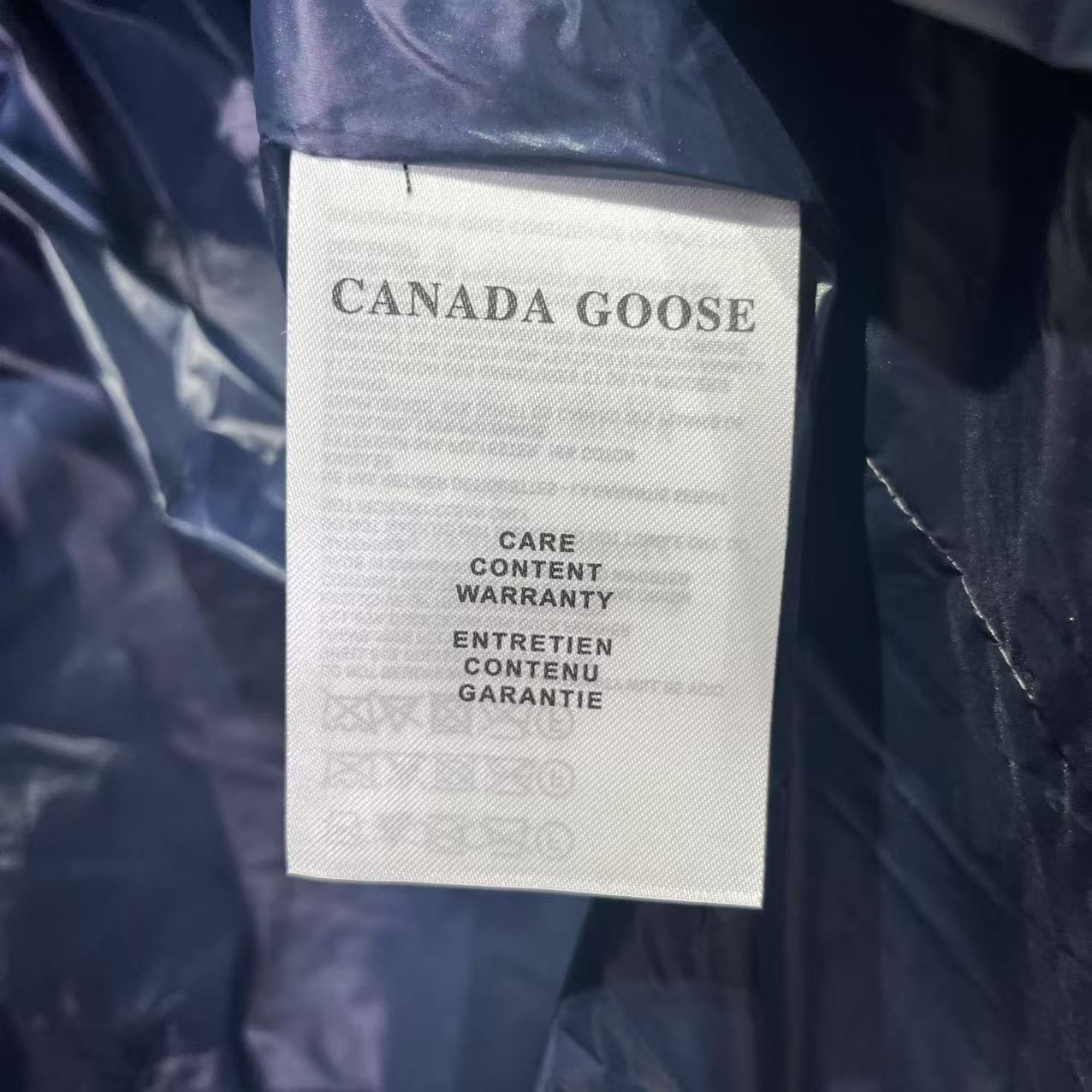 Canadian Goose 2227