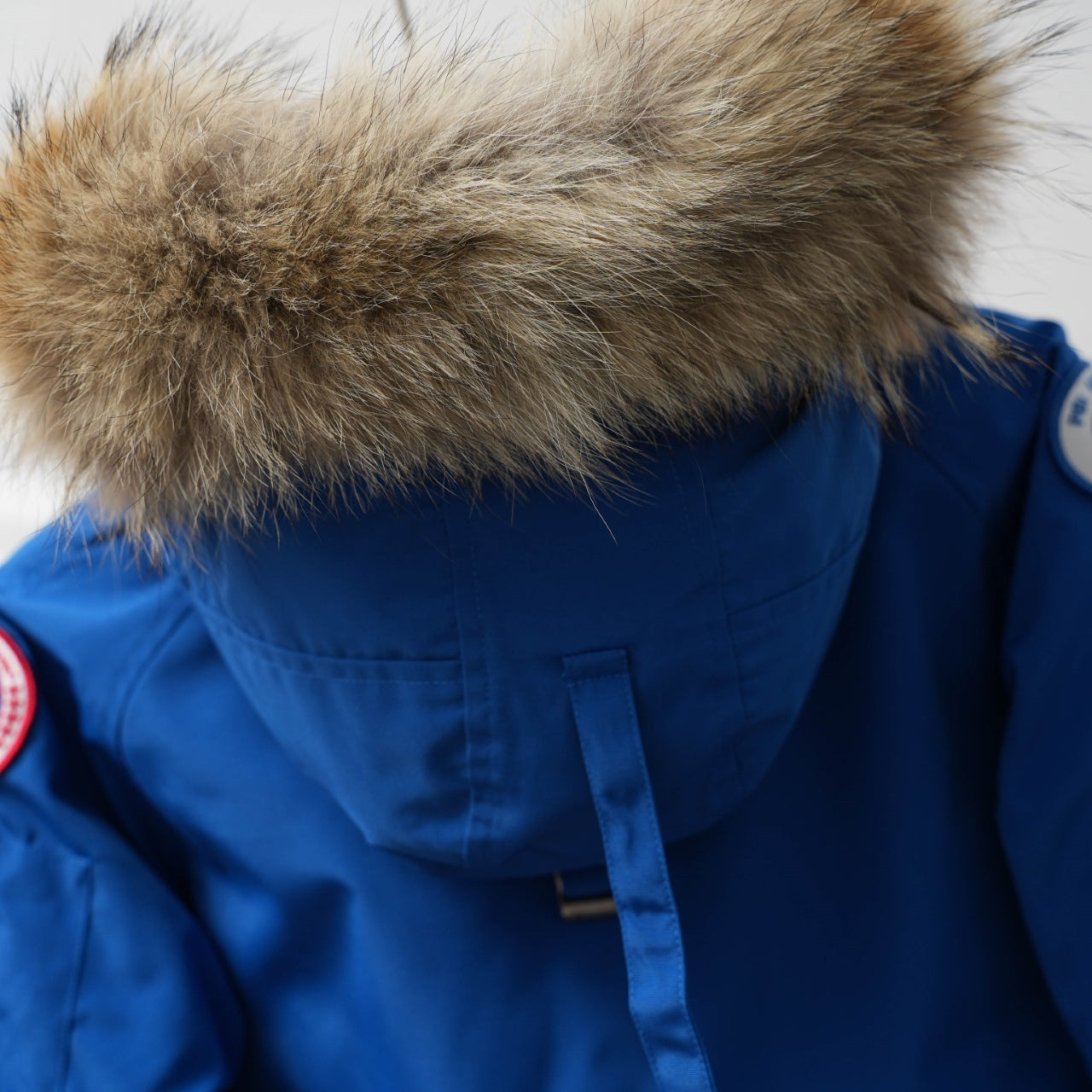 BLUE CANADA GOOSE