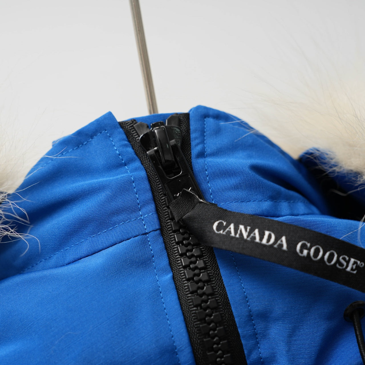 BLUE CANADA GOOSE